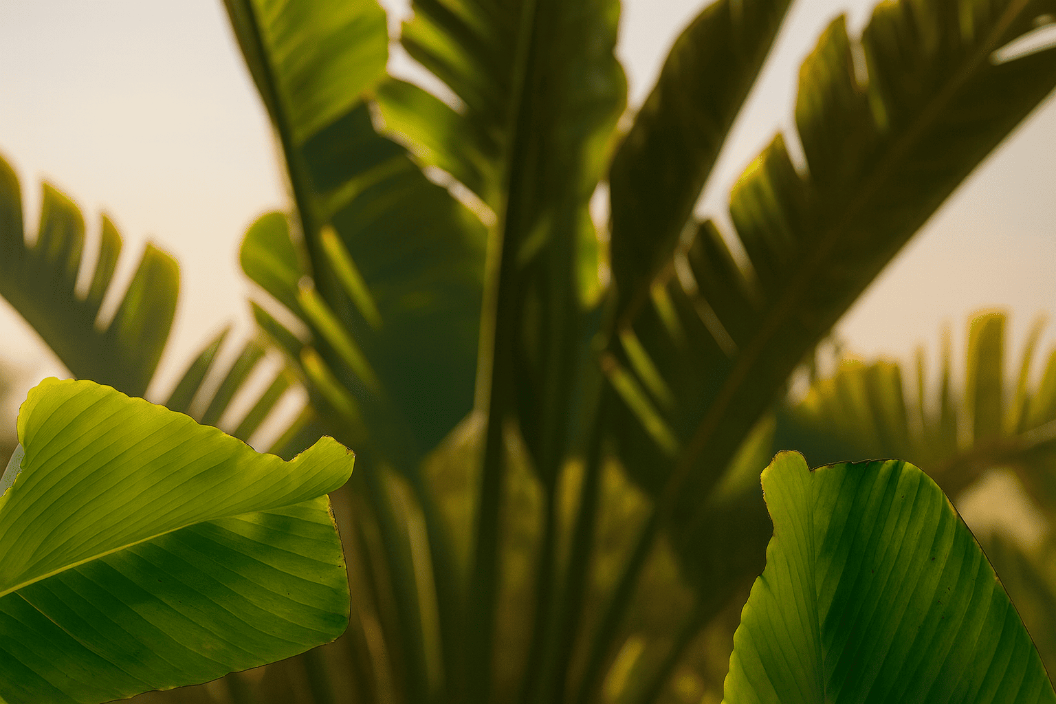 slider image slider_item_8jnFFr
