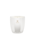 Dr.Vranjes Ginger Lime Candela Profumata - Tito Smalti - Candela